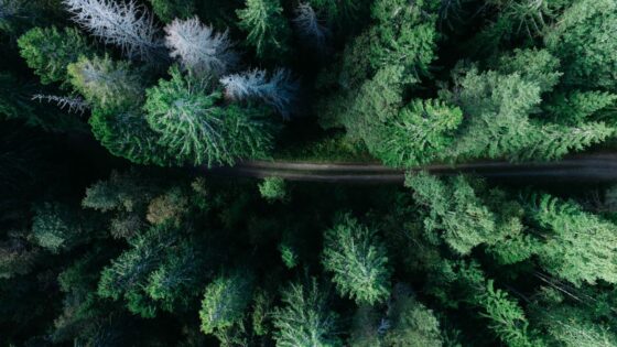 グリーフケアとは？悲嘆から回復するための支援