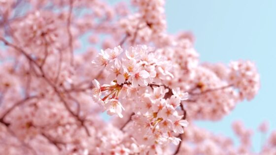 終活とは何か？今すぐ始めるべき理由と全体像 | お葬式.info